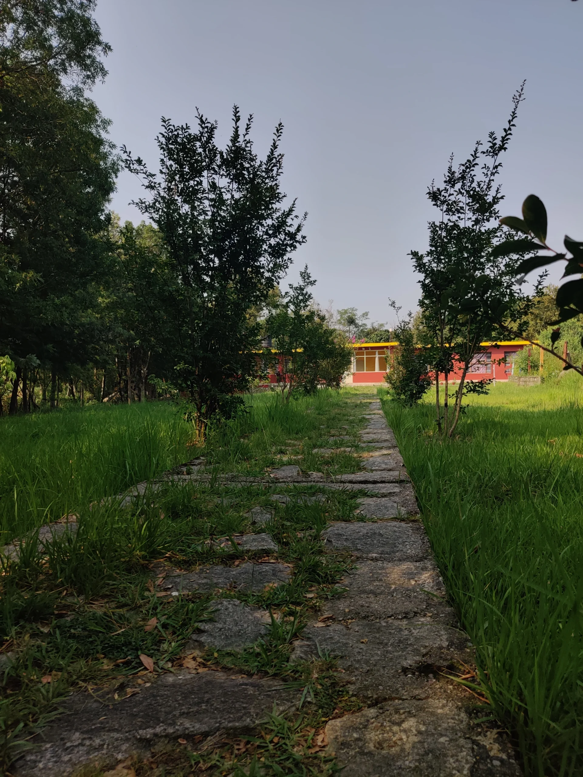Residential detox accommodation at Vaishalya Women's Wellness Centre, Palampur