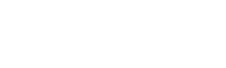 Vaishalya